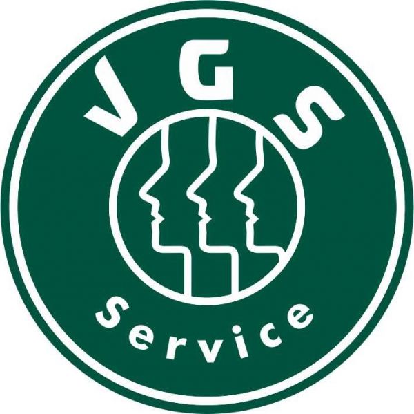 Grupo VGS